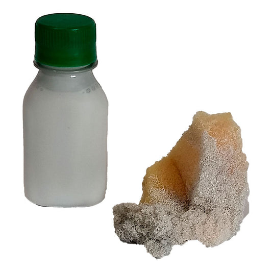 Pintura Especial para Calzado Sintético y Cuerina al Por Mayor | Insumos para Zapatería y Restauración